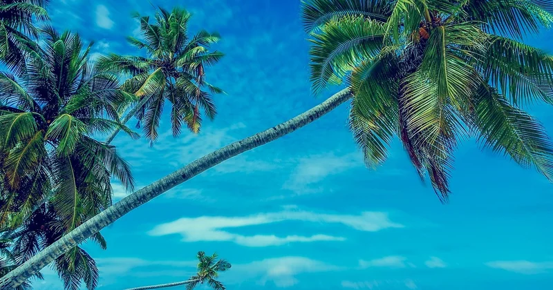 Les îles pas chères qui valent vraiment le détour